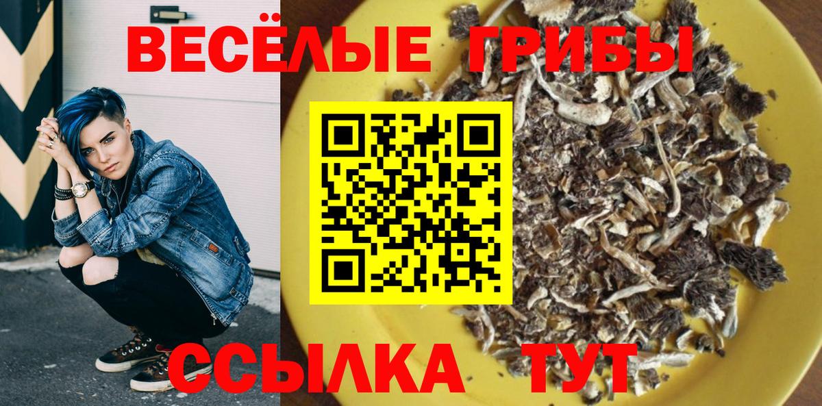 Балашов  как найти наркотики  Вход с VPN  Галлюциногенные грибы ЛСД 