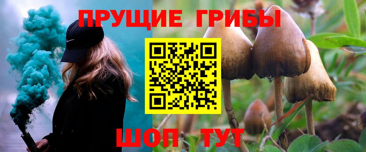Псилоцибиновые грибы GOLDEN TEACHER Балашов
